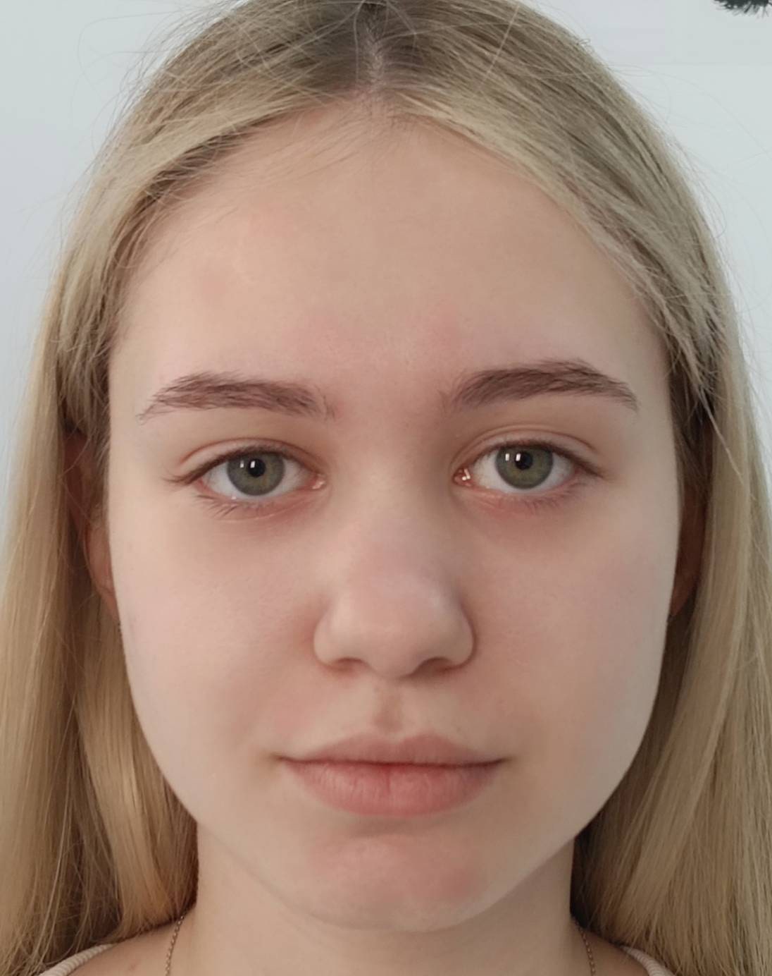 Sprâncene înainte de stilizare profesională